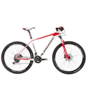 RALEIGH MOJAVE 8.0 CARBON ROD-27.5